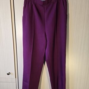 Women's Stretch Pull-On Pants - Plum - Size 12P